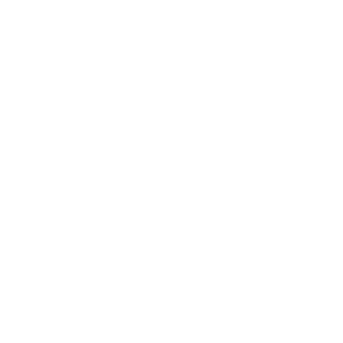 white_logo-removebg-preview